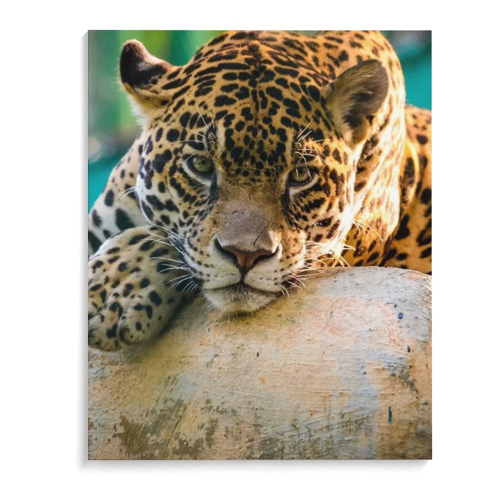 絵画　壁掛　油絵　動物アート 絵画 壁掛 油絵 動物アート 絵画 壁飾り 壁掛け 油絵 組み立て式